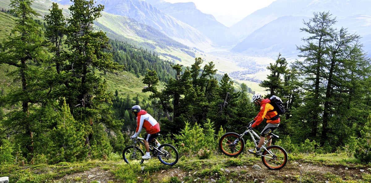 Bicicleta de montaña de Livigno, Foto de C. Freeman