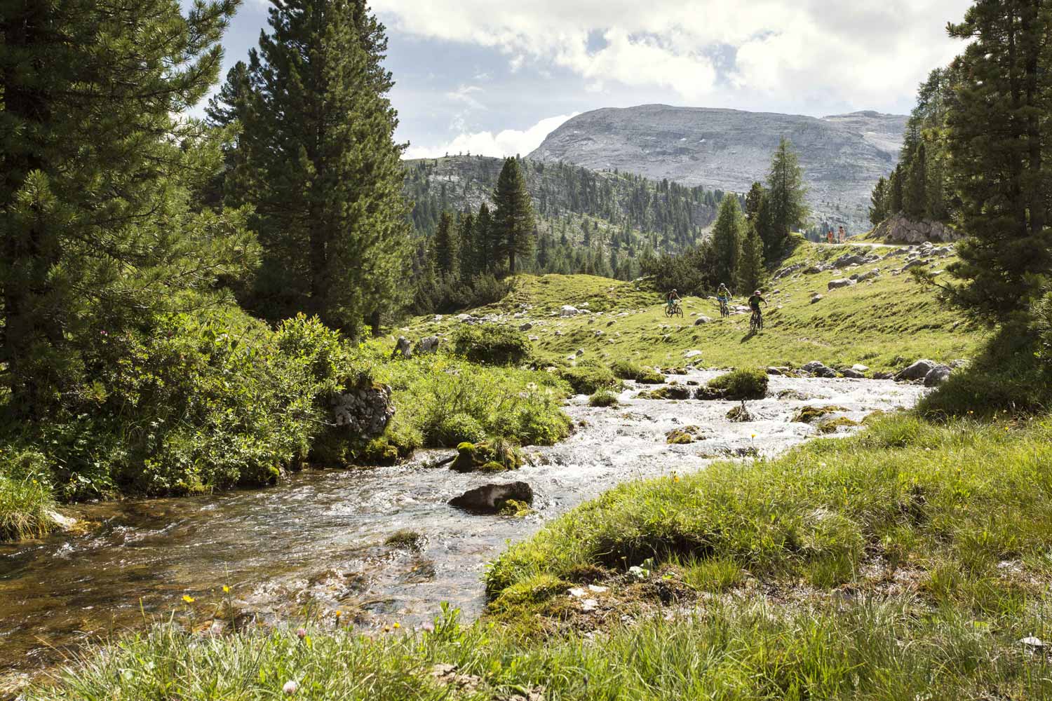 Sportguide, Mountain bike in Kronplatz