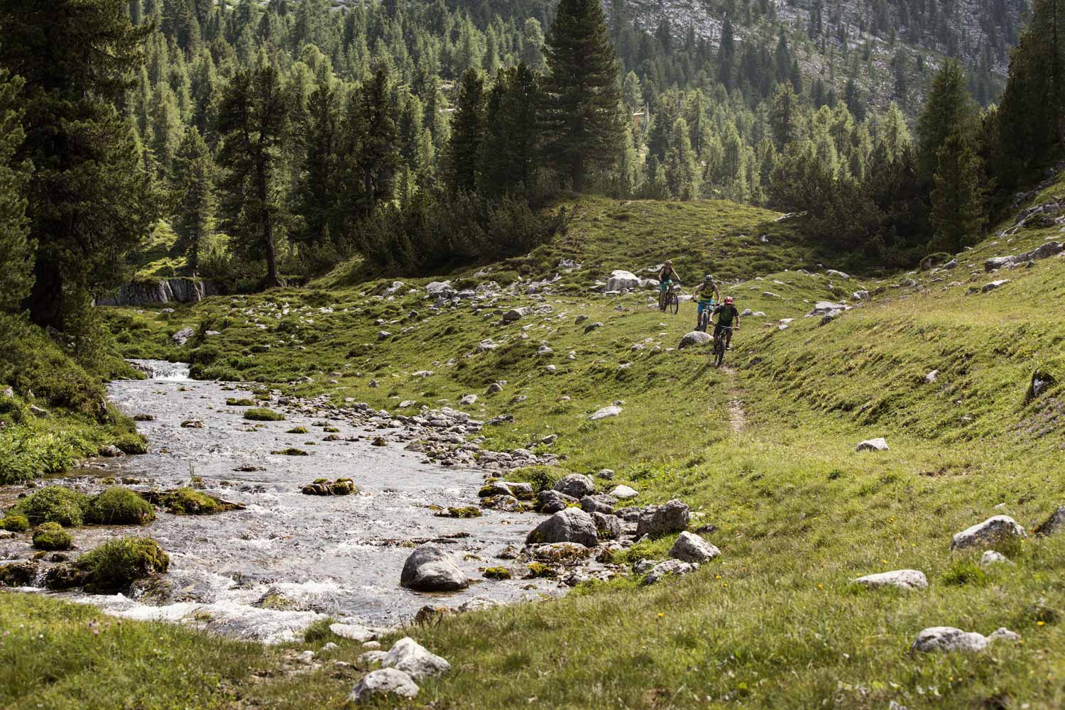 Sport guide, Mountain biking in Kronplatz