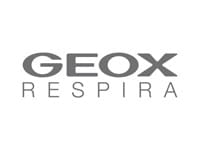 Geox logo-200x150px
