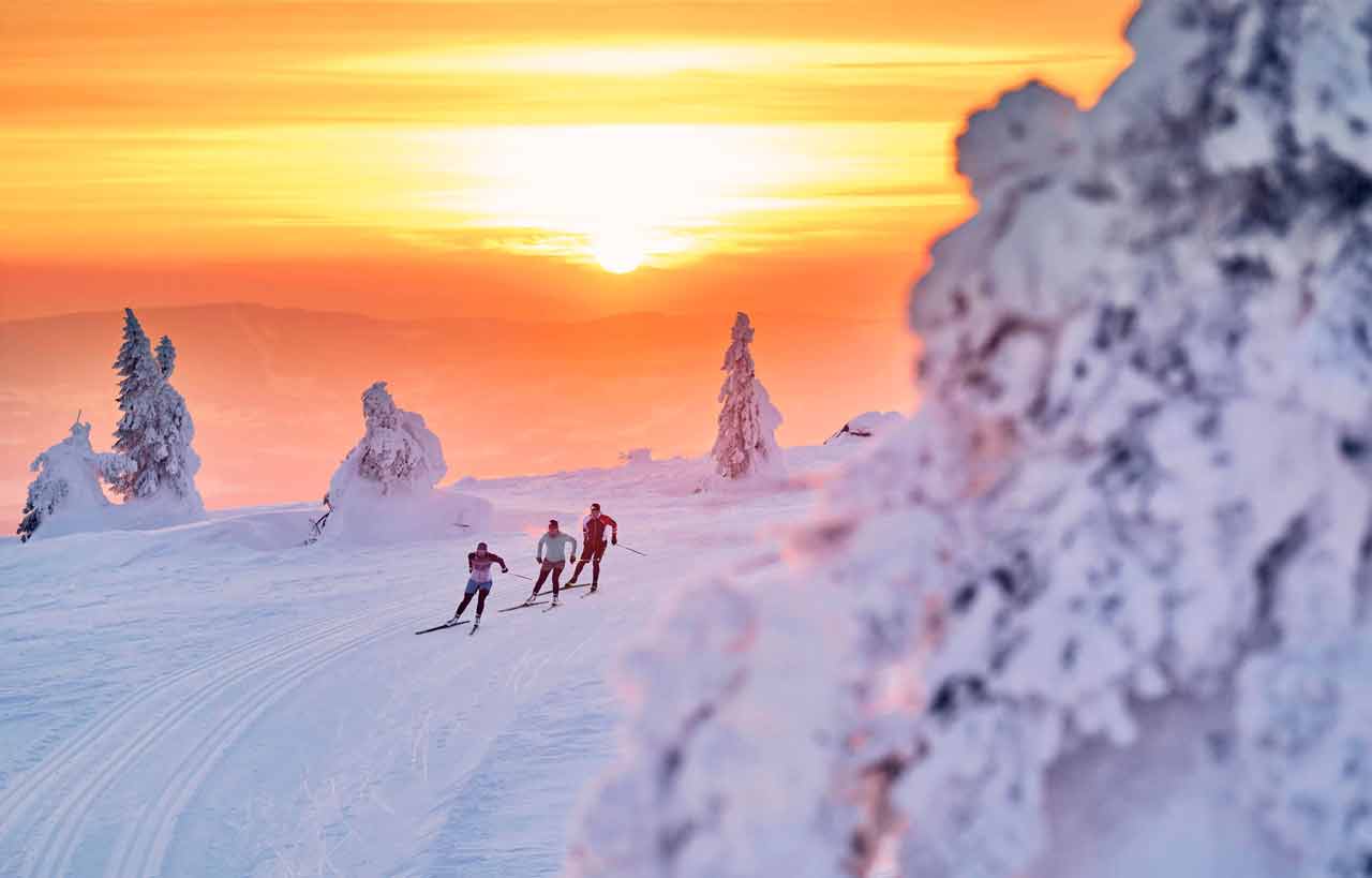 Bavarian Forest: Wonderful Wild "Woid"