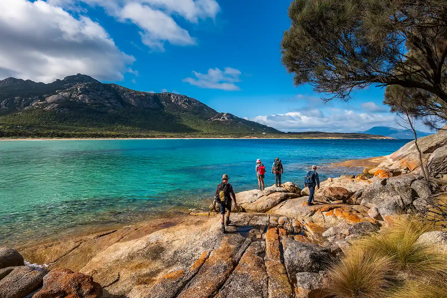 Tasmanie impressionnante : randonnées comme au paradis