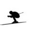 Alpine skiing downhill icon