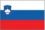 Slowenien-Flagge-75x50px-Kontur